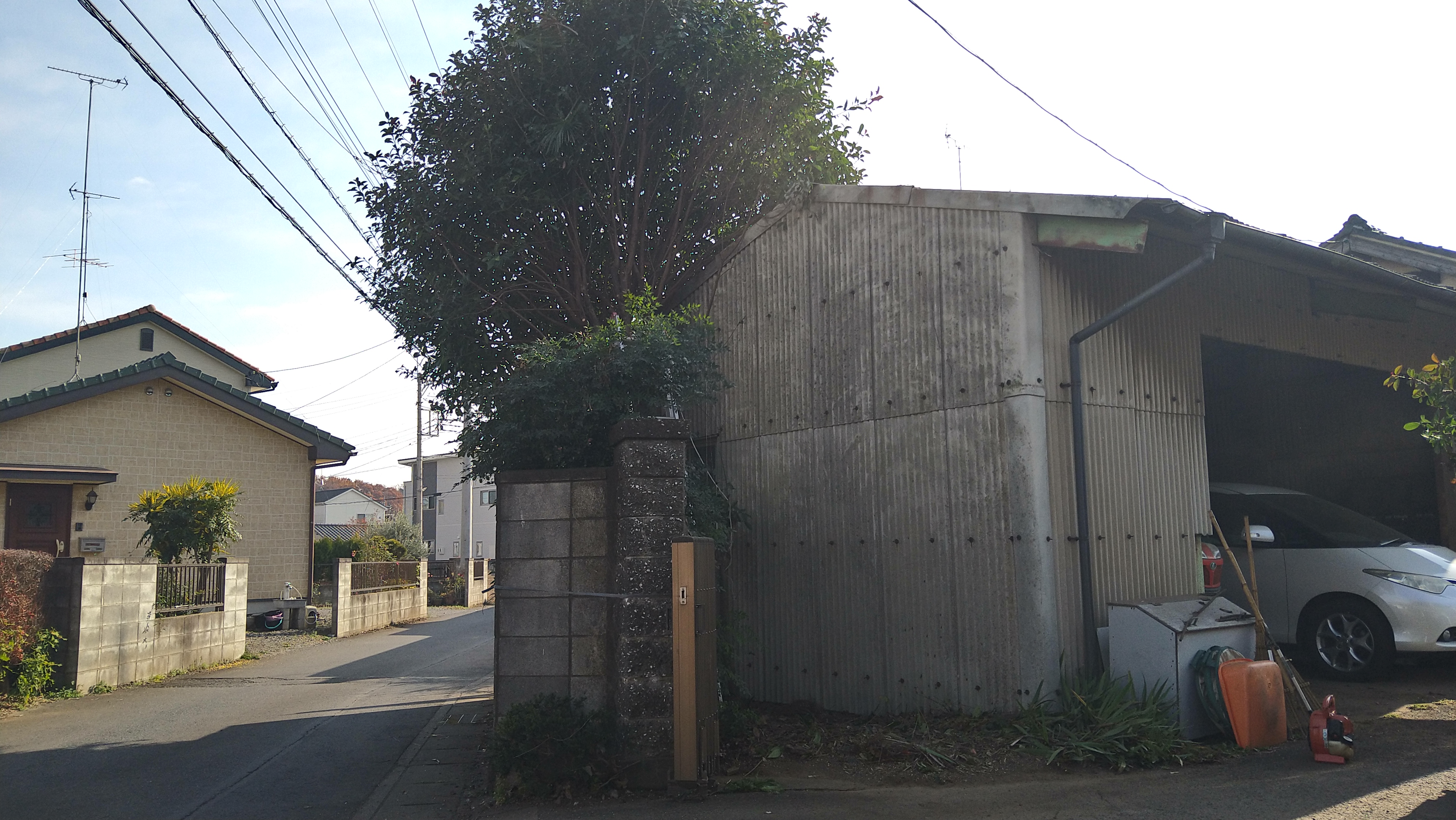 伐採 伐採